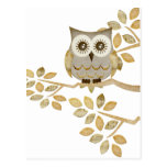Wide Eyes Owl in Tree Post Card