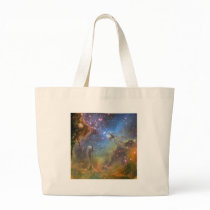 Wide-Field Image of the Eagle Nebula Bag
