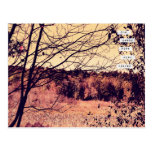 Wide Open Spaces II Postcard postcards