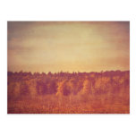 Wide Open Spaces Postcard postcards