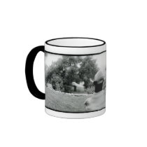 Widelux Mug