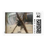 widow060109-4, wyspur postage