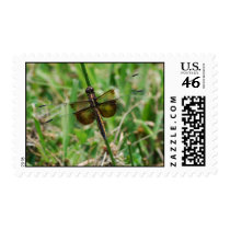 Widow Skimmer Dragonfly postage
