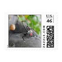 Widow's Pose Stamp