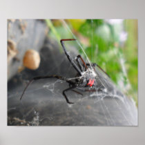 Widow's Pose Print