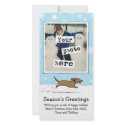 Wiener Dog Snow Holiday photo cards