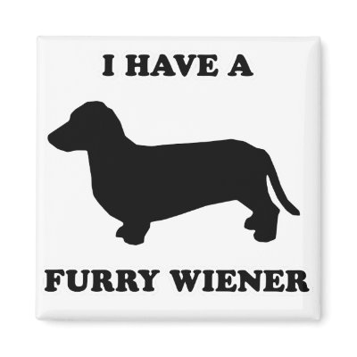 WIENER DOG TEES - "My wiener is furry" Refrigerator Magnet by humortees