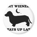 WIENER DOG TEES - "My wiener stays up all night" magnets by humortees WIENER DOG TEES - "My wiener stays up all night" magnets