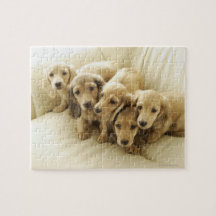 Wiener puppies puzzle