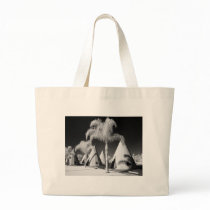 Wigwam Motel, Route 66, Rialto, California Canvas Bag