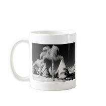 Wigwam Motel, Route 66, Rialto, California Mug