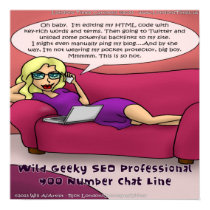 Wild 900 Numbers For Computer Geeks Funny Poster