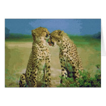 Wild Affection cards