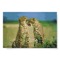 Wild Affection posters
