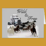 Wild &amp; Free cards
