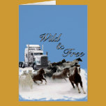 Wild &amp; Free cards