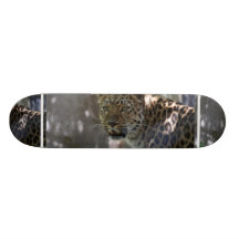 Wild Amur Leopard Skateboard