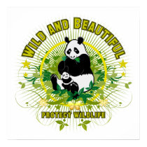 Wild and beautiful Panda posters