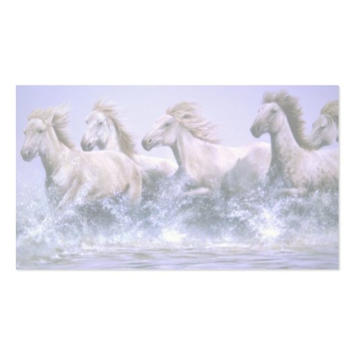 Wild and free, Camargue Horses Business Card (back side)