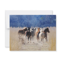 Wild And Free invitations by laureenr Wild And Free invitations
