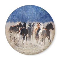 Wild And Free magnets