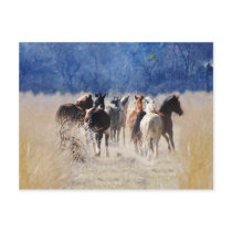 Wild And Free postcards by laureenr Wild And Free postcards