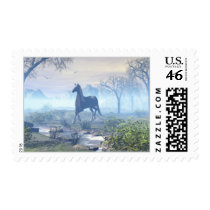 Wild and Free Stamp