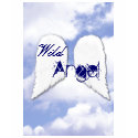 Wild Angel t-shirts by cloudbunnys Wild Angel t-shirts