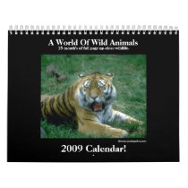 Wild Animal 2009 Calendar!