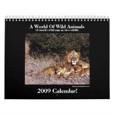 Wild Animal 2009 Calendar calendar