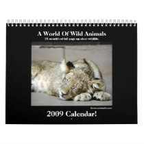 Wild Animal 2009 Calendar!
