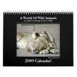Wild Animal 2009 Calendar!
