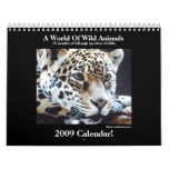 Wild Animal 2009 Calendar!