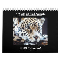 Wild Animal 2009 Calendar!