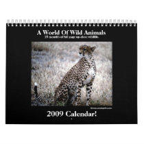Wild Animal 2009 Calendar!