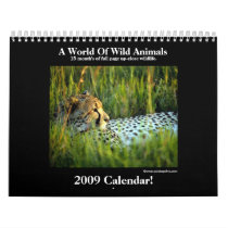 Wild Animal 2009 Calendar! calendars