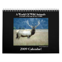 Wild Animal 2009 Calendar! by MickeyElvis Wild Animal 2009 Calendar!