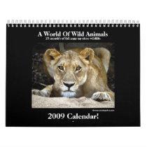 Wild Animal 2009 Calendar! calendars