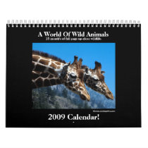 Wild Animal 2009 Calendar!