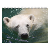 Wild Animal Calendar