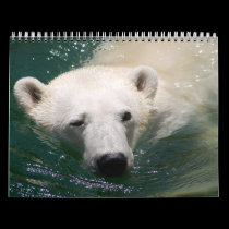 Wild Animal Calendar