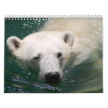 Wild Animal Calendar