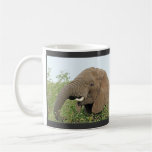 Wild animal calendar coffee mugs & cups