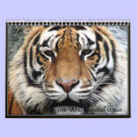 Wild Animal Faces calendars