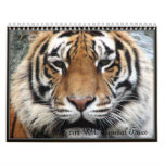 Wild Animal Faces Wall Calendars