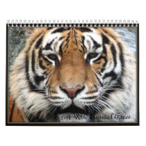 Wild Animal Faces Wall Calendars