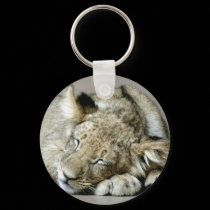 wild animals 103 keychains by MickeyElvis wild animals 103 keychains