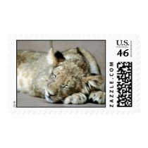 wild animals 103 stamps