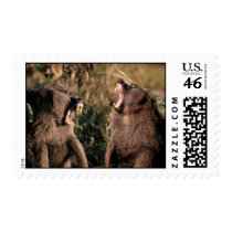 wild animals 107 stamps