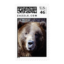 wild animals 109 postage